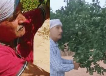 Mausami Brother of Rajasthan