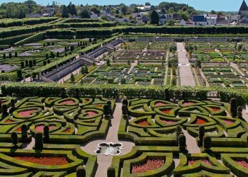 इस फल की खेती करने से आप हो जाएंगे मालामाल!