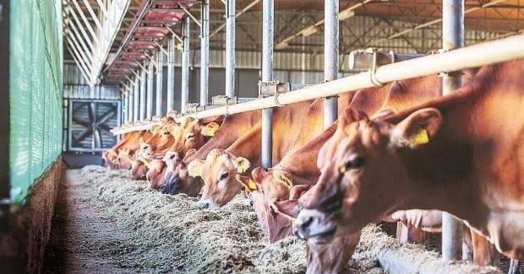 Promotion of Animal Husbandry: Top Schemes for Farmers