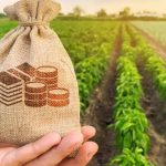 4 Attractive Small Farming Ideas to Increase Your Income