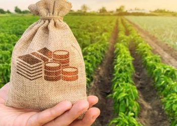 4 Attractive Small Farming Ideas to Increase Your Income