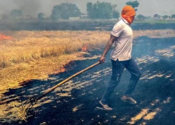 सरकार के इस कदम से पराली जलाने के मामलों में बड़ी गिरावट