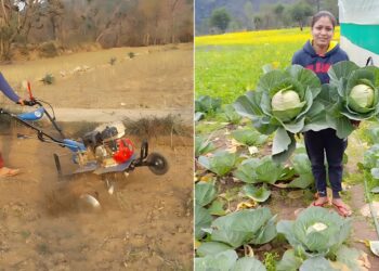 हौसले की मिसाल हैं उत्तराखंड की बबीता रावत, सिर्फ 13 साल की उम्र से कर रही हैं खेती