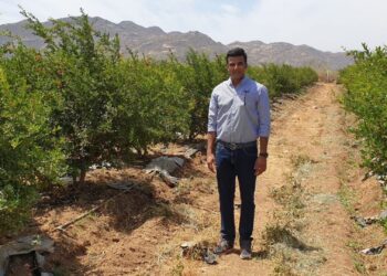 विदेश की नौकरी छोड़ परिवार के लिए वापस आए नवदीप, अब खेती से करोड़ों में होती है कमाई