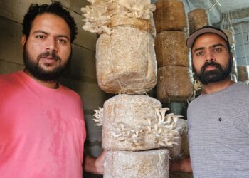 सुशांत उनियाल और प्रकाश उनियाल