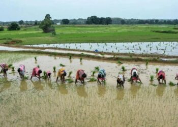 कृषि उद्योग में कैसे करें