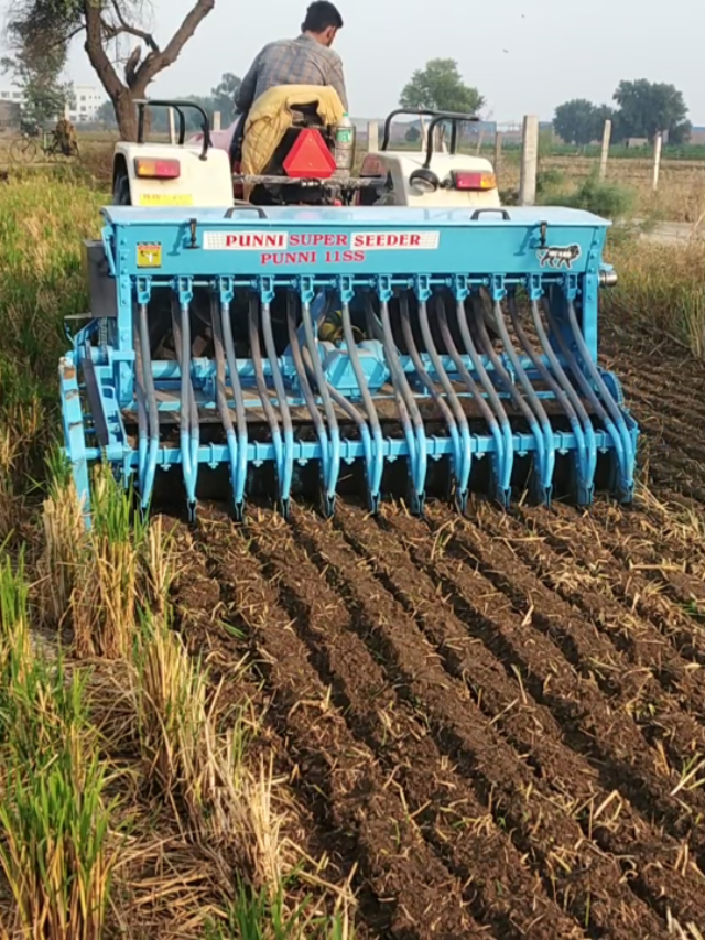 13598392_superseeder2