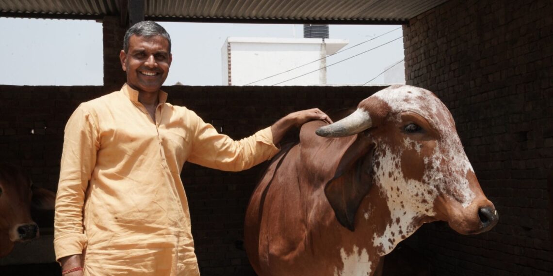 प्रोफेसर की नौकरी छोड़ अरुण कुमार बने सफल पशुपालक, 10 हजार रु किलो विदेशों में जाता है गाय का घी