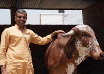 प्रोफेसर की नौकरी छोड़ अरुण कुमार बने सफल पशुपालक, 10 हजार रु किलो विदेशों में जाता है गाय का घी