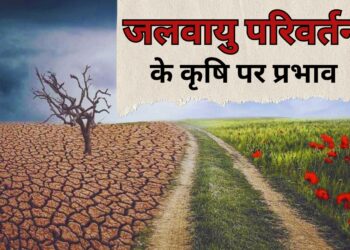 जलवायु परिवर्तन का कृषि पर प्रभाव: जानें मुख्य बातें