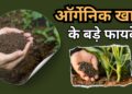 आर्गेनिक खाद