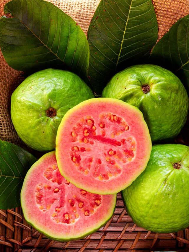 GUava_tree_7_FGT_d97d35e3-ab65-4d03-8e24-34e6638cddf5