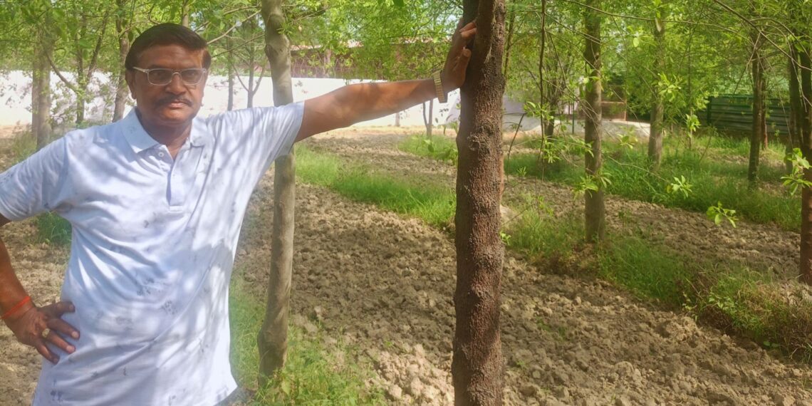 बैंक मैनेजर की नौकरी छोड़ चंदन की फार्मिंग कर रहे बिजनौर के आरपी सिंह, CCTV से होती है निगरानी