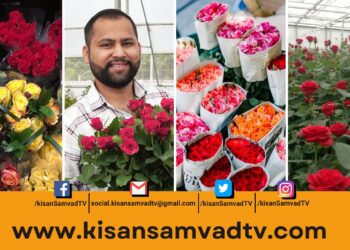 UPSC छोड़ गुलाब की खेती कर रहे विक्रम, जानिए कैसे गुलाब की खेती से लाखों कमाता है यह किसान