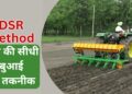 DSR Method: किसान DSR तकनीक से कमा सकते हैं मोटा मुनाफा, कम पानी में होगी धान की बंपर फसल