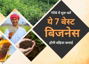 7 बिजनेस , जिनसे किसान कर सकते है घर बैठ कर अच्छी कमाई