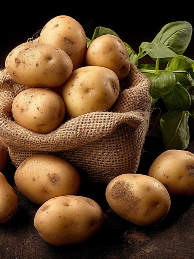 pngtree-potatoes-growing-and-potato-varieties-image_12984771